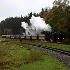 Die Harzer Schmalspurbahn: Die 99 7234-0 kehrt vom Brocken zurück