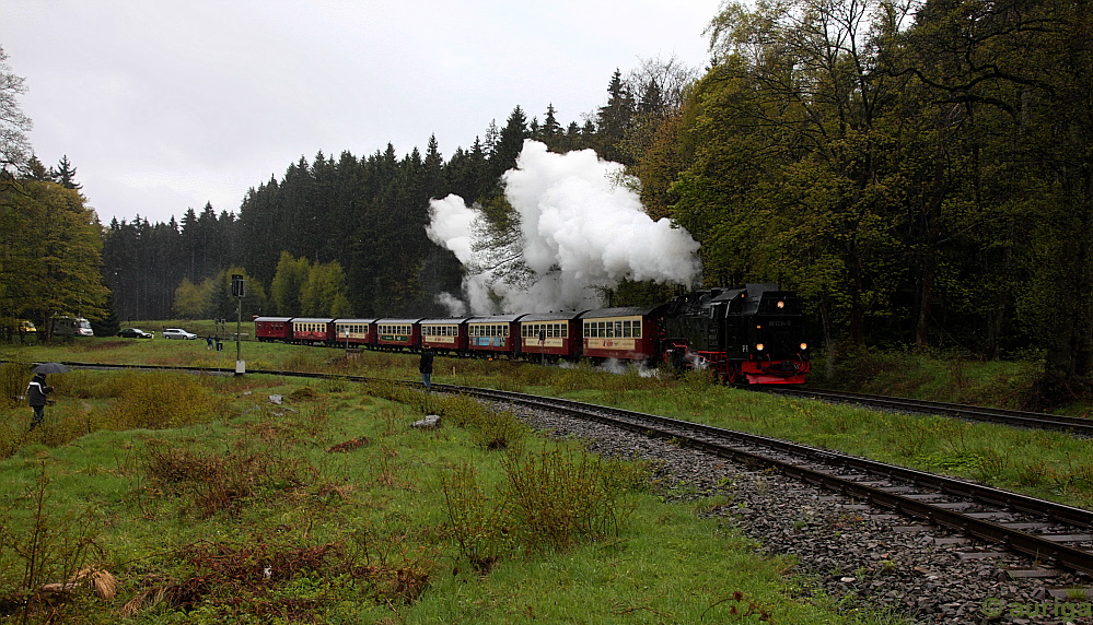 Die Harzer Schmalspurbahn: Die 99 7234-0 kehrt vom Brocken zurück