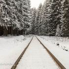 Die Harzer Schmalspurbahn im Schnee