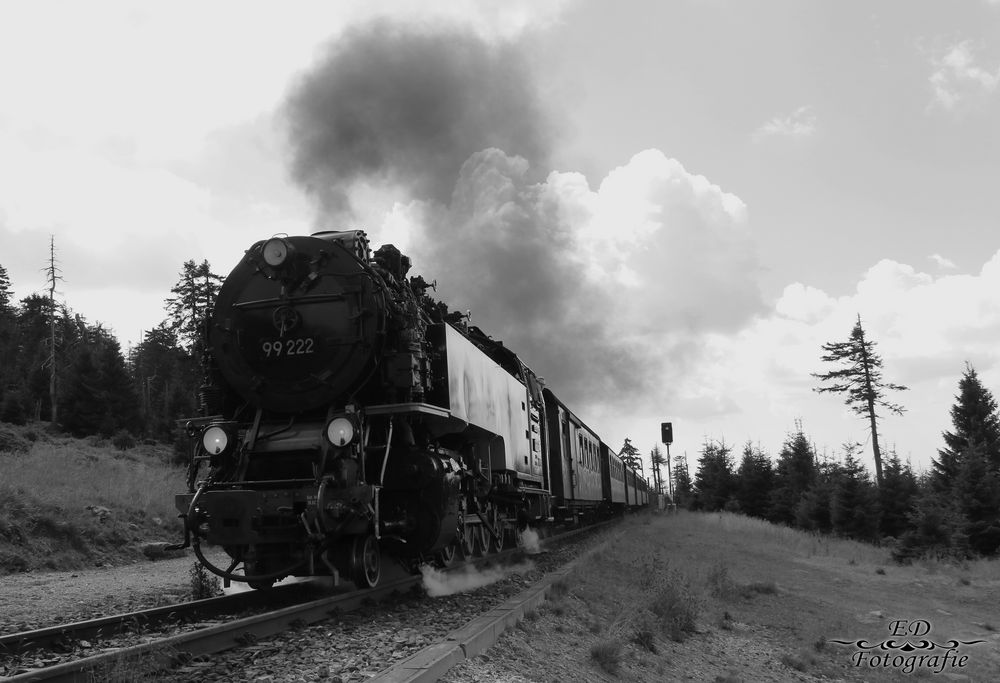 Die Harzer Schmalspurbahnen