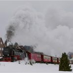 Die Harzquerbahn in Sorge [2]