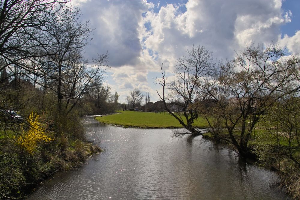 Die Hase in Malgarten