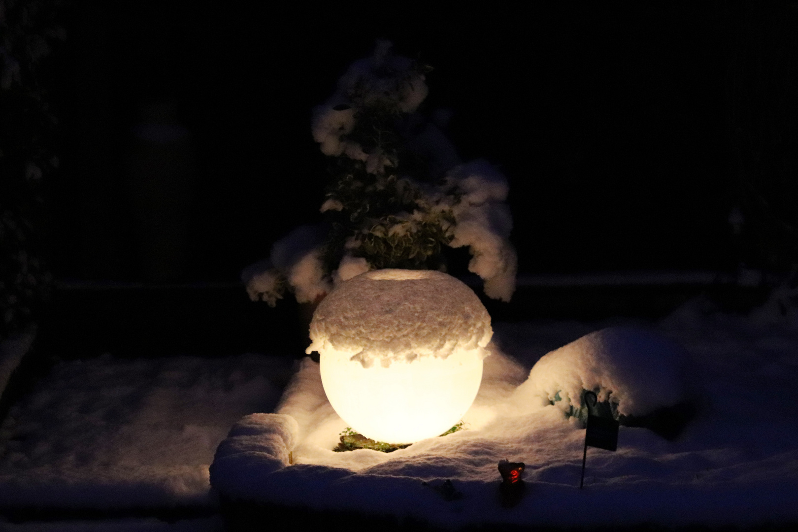 Die haube in Schnee