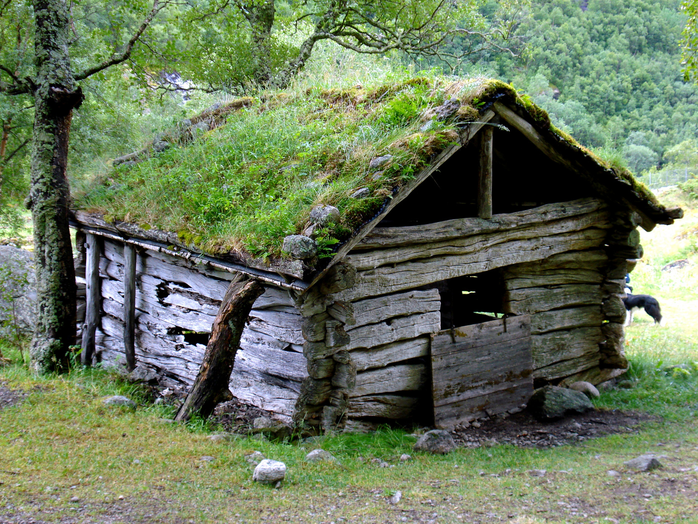 Die Hauptsache ist es doch, ein Dach überm Kopf zu haben.