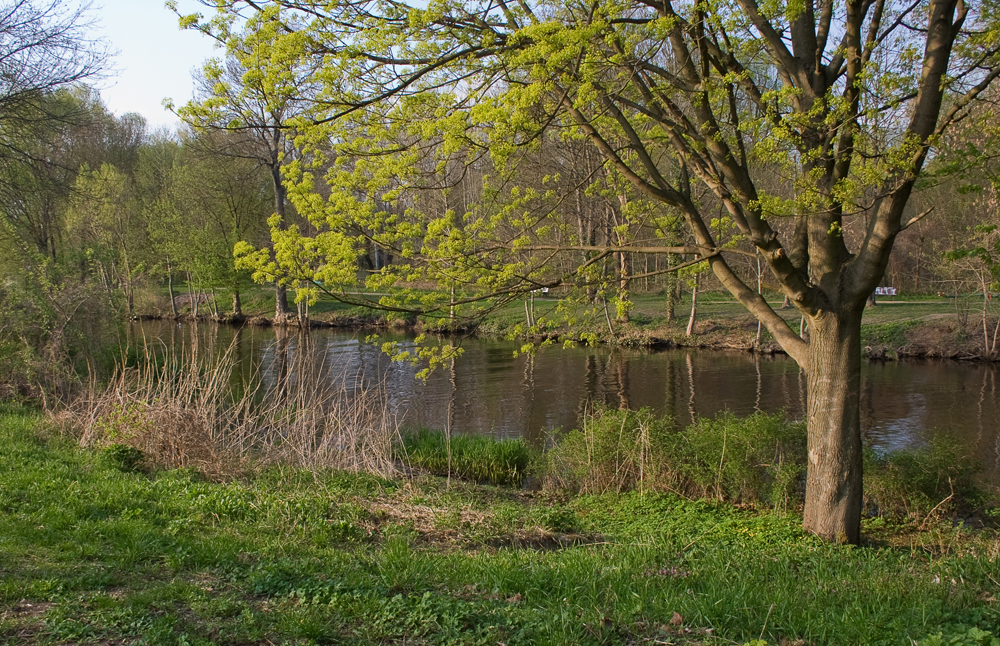 Die Havel bei Oranienburg im Frühling