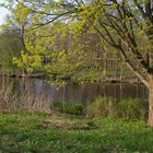 Die Havel bei Oranienburg im Frühling