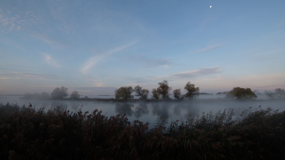 Die Havel im Morgennebel...