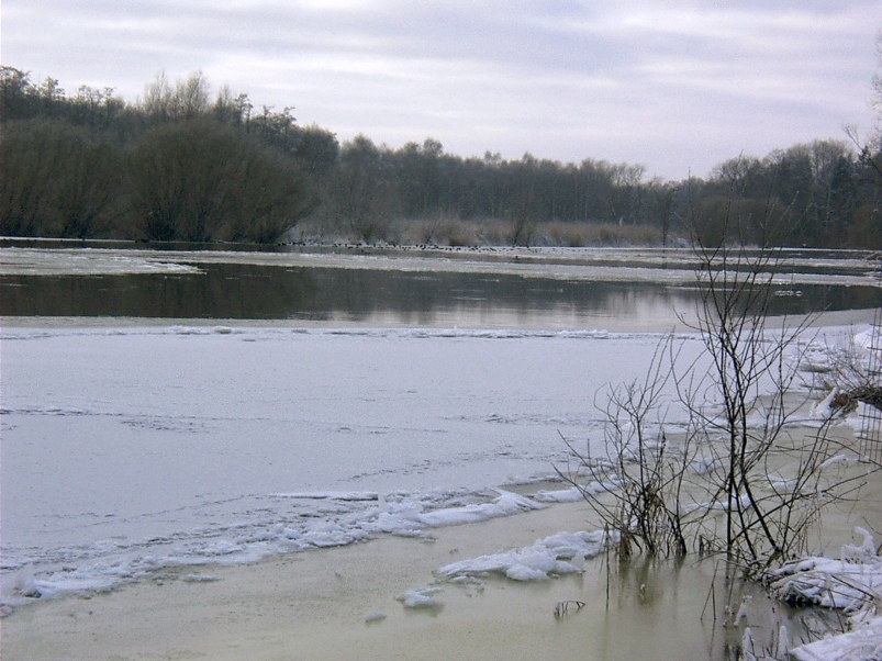 Die Havel im Winter 1