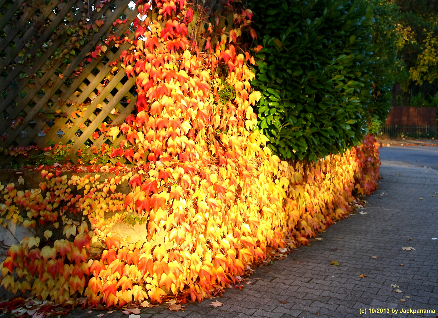 "Die Hecke brennt!" / gesehen auf dem Weg nach Hause