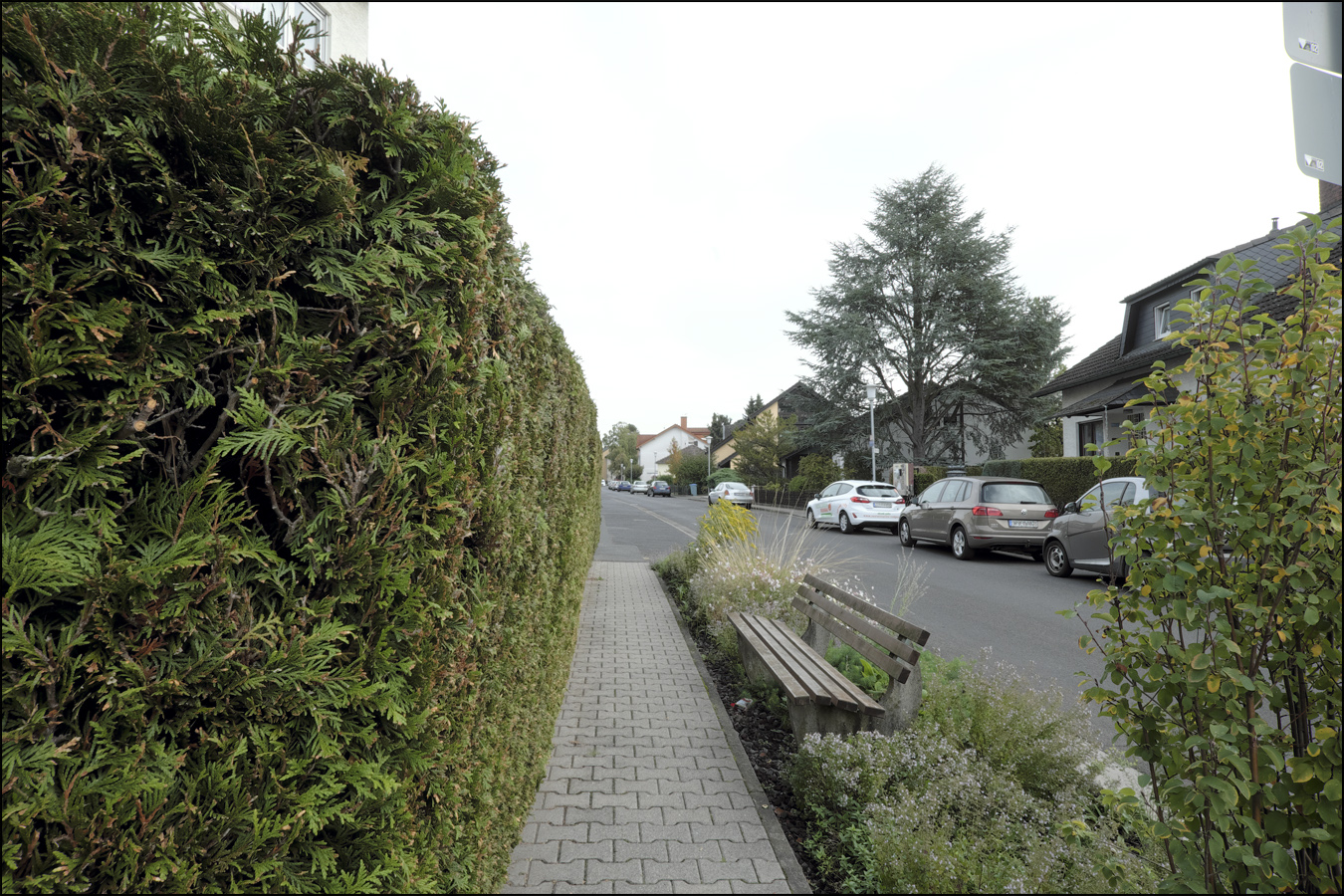 die Hecke, der Gehweg, die Bank, die Straße 