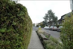 die Hecke, der Gehweg, die Bank, die Straße 