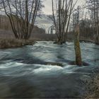 Die Hefe führt Hochwasser