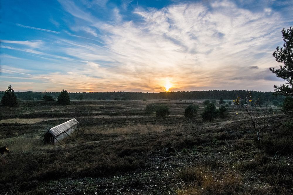 Die Heide am Abend