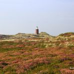 Die Heide am Quermarkenfeuer