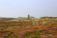 Die Heide am Quermarkenfeuer