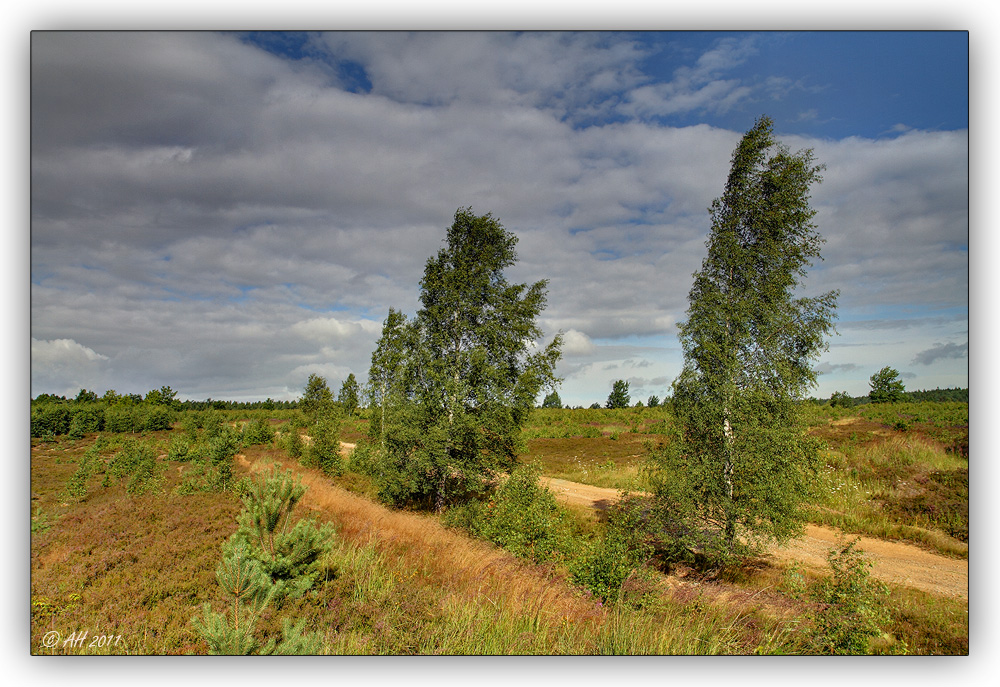 Die Heide bei Syrau