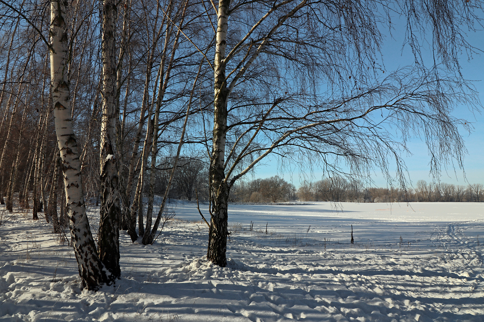 Die Heide bei Veltenhof