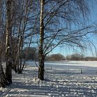 Die Heide bei Veltenhof