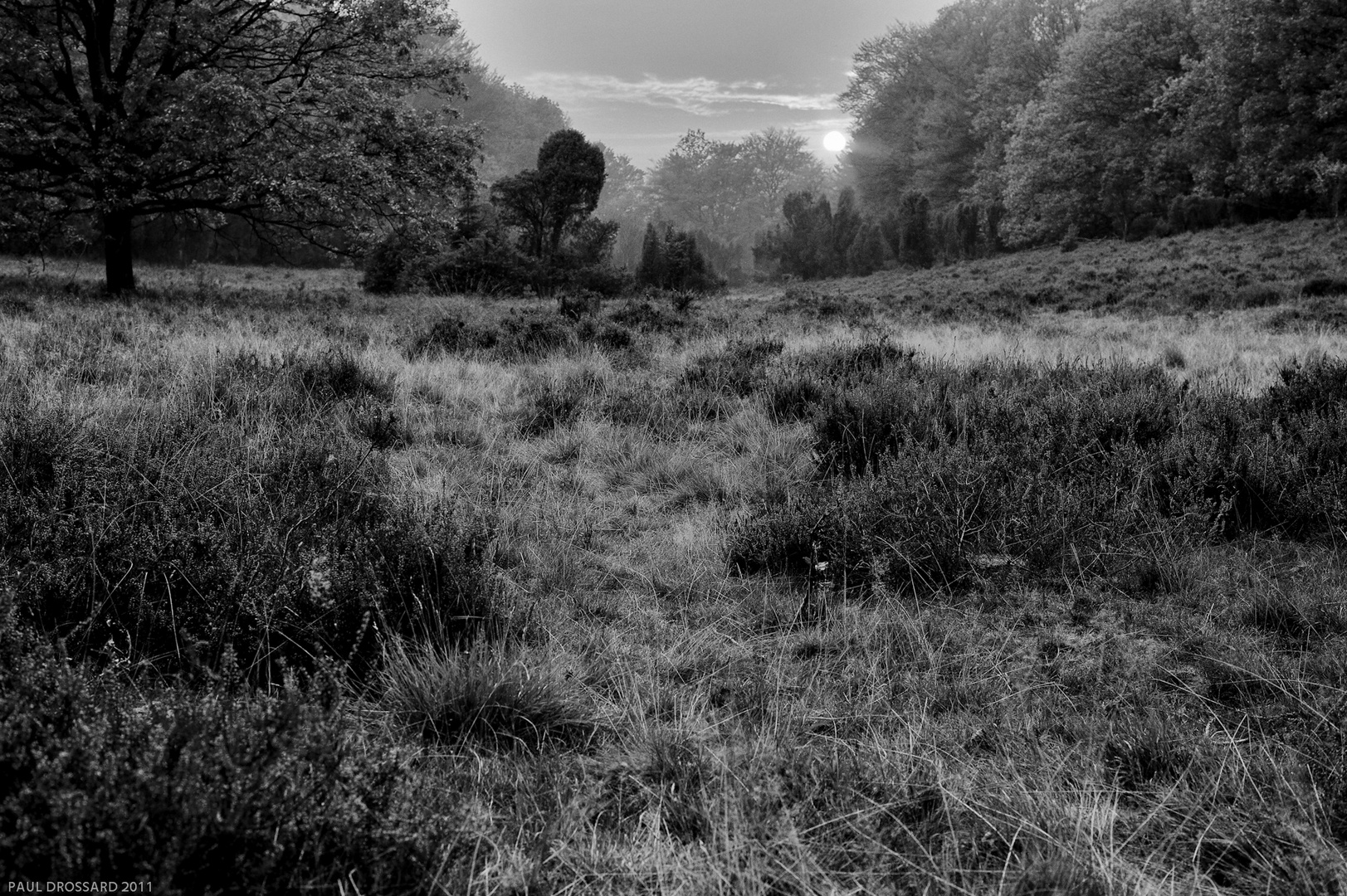 "Die Heide" ein Klassiker