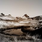 Die Heide und seine Dünen ( Insel Hiddensee )