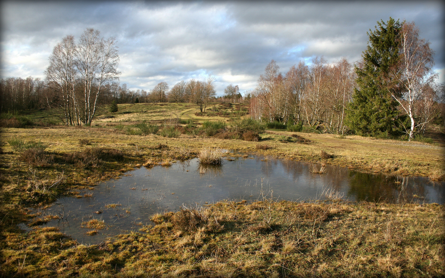 Die Heide zum vierten Advent.