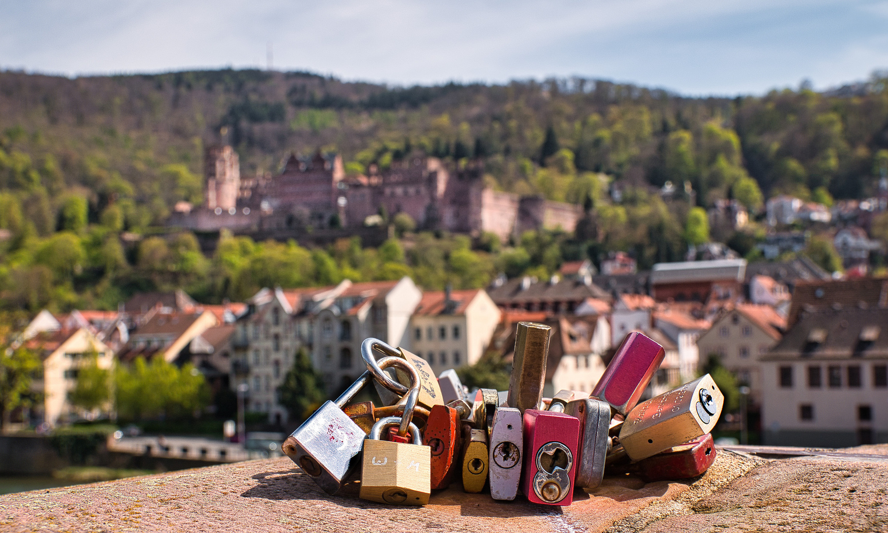 Die Heidelberger Schlösser