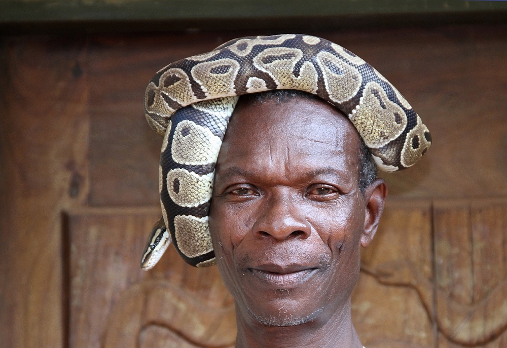 Die heiligen Pythonschlangen von Quidah – Benin - Westafrika