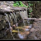 Die heiligen Quellen von Epina - La Gomera 2