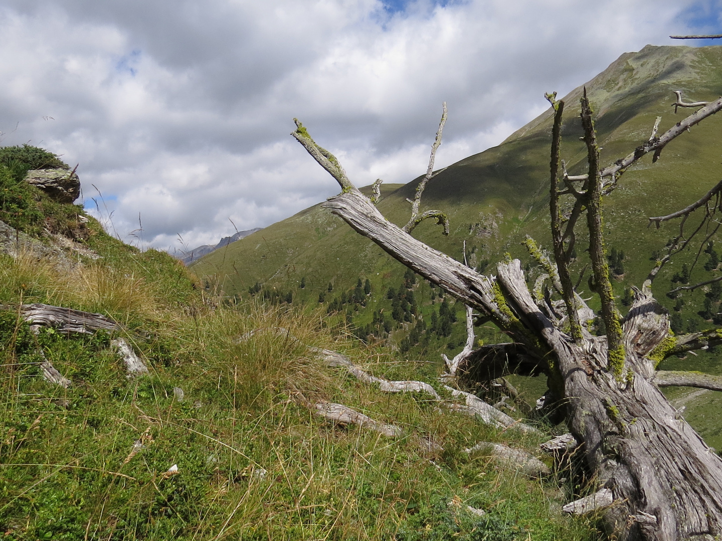 Die Heimat der Murmeltiere