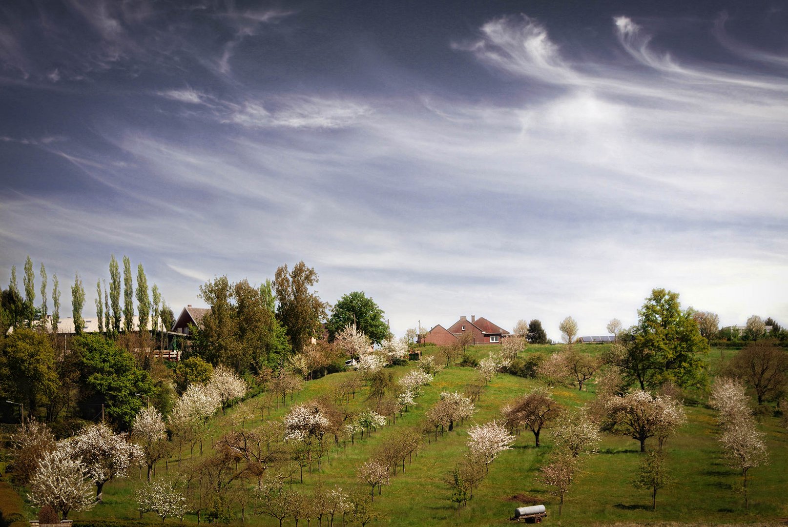 Die Heimat der Piemont-Kirsche . . .