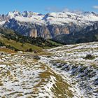 Die Heimat meiner "Dolomiten Teufelskralle" ist die hinterste Kette...