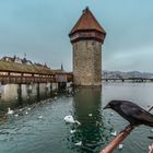 Die heimlichen Herrscher von Luzern