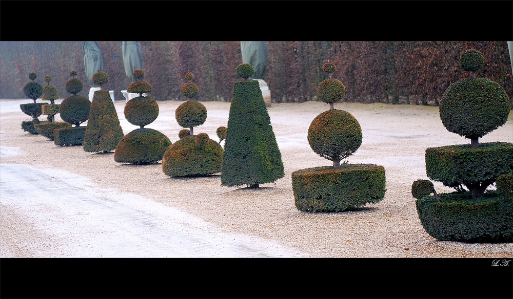 Die heimlichen Soldaten von  Versailles