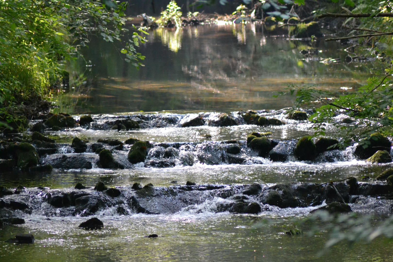 Die Heller im Hellertal zu Neunkirchen