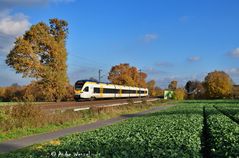 Die Hellwegbahn