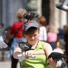 die hemmungslosen Tauben auf dem Markusplatz