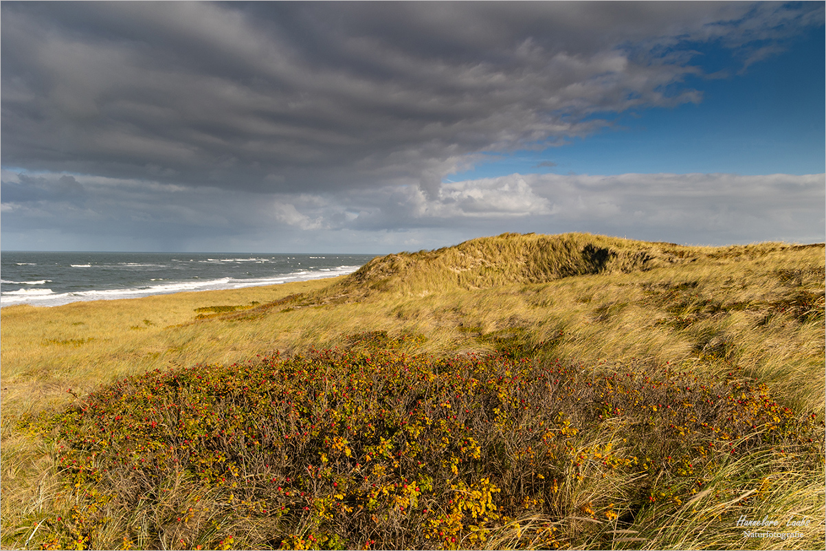 Die heranrollende Wolkenfront