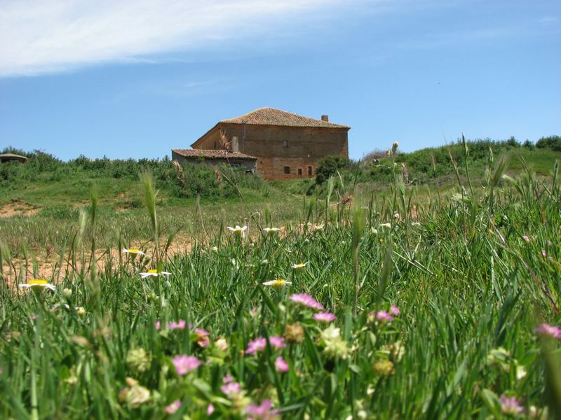 Die Herberge in Bercianos