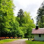 Die Herbolzheimer Waldkapelle das Käppele