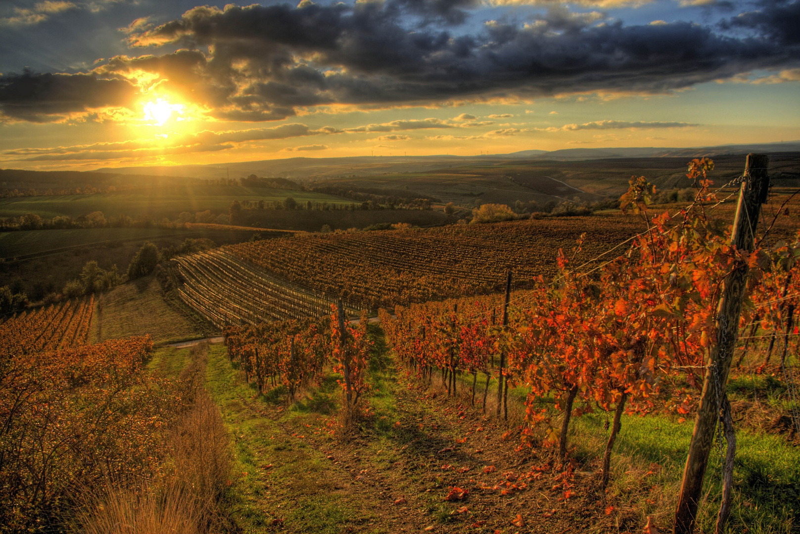 Die Herbst-Farben der Weinberge