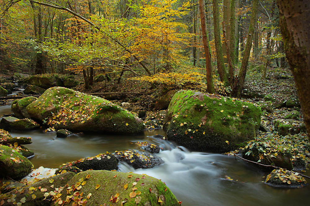 Die Herbst-Hölle bei Postfelden