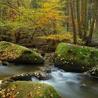 Die Herbst-Hölle bei Postfelden