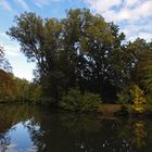 Die Herbstfärbung beginnt