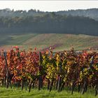 Die Herbstfarben auf Ihrem Höhepunkt