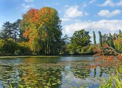 Die Herbstfarben kommen langsam