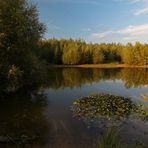 Die Herbstfarben sind angemischt