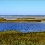 Die herbstliche Einsamkeit der Cape Cod Bay, Massachusetts