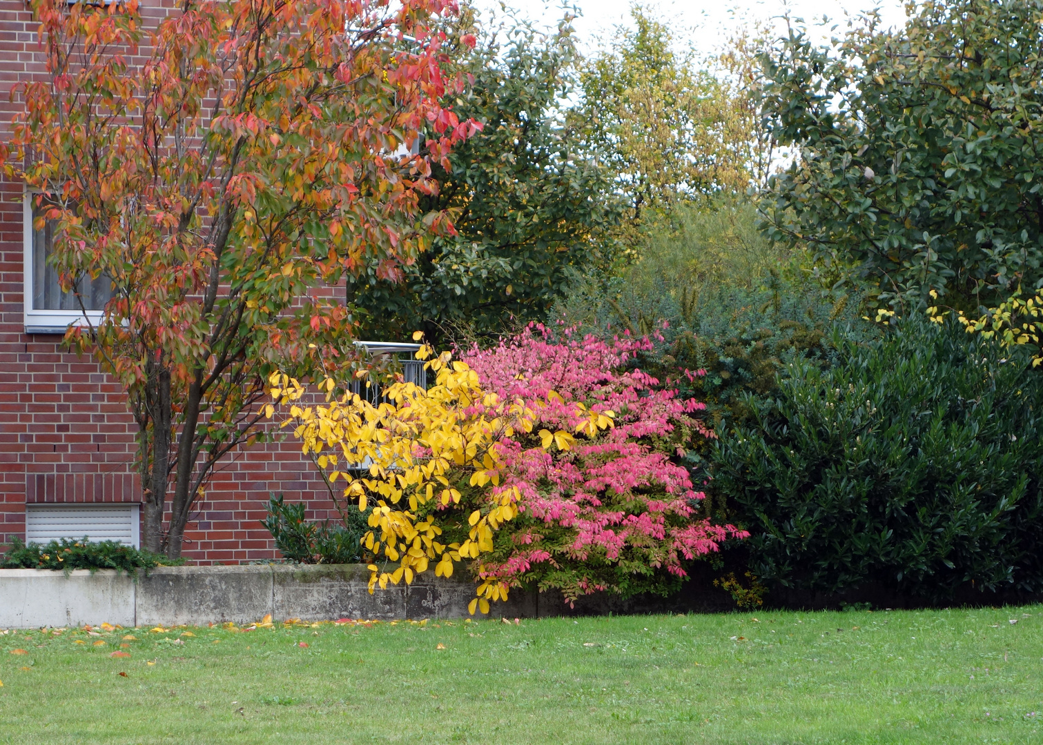 Die herbstliche Farbpalette