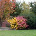 Die herbstliche Farbpalette