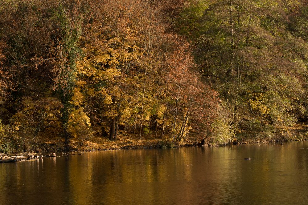 Die herbstliche Nahe